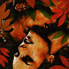 Осенние грезы...