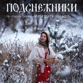 обложка подснежники