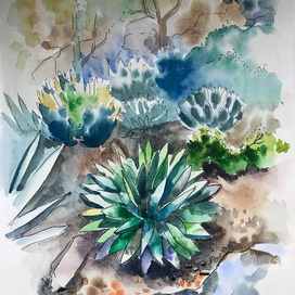 Экзотическая клумба