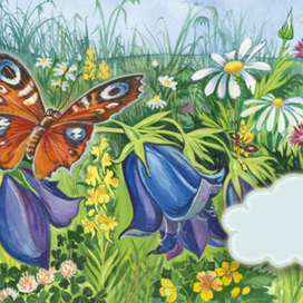 " Кто в небе живёт"