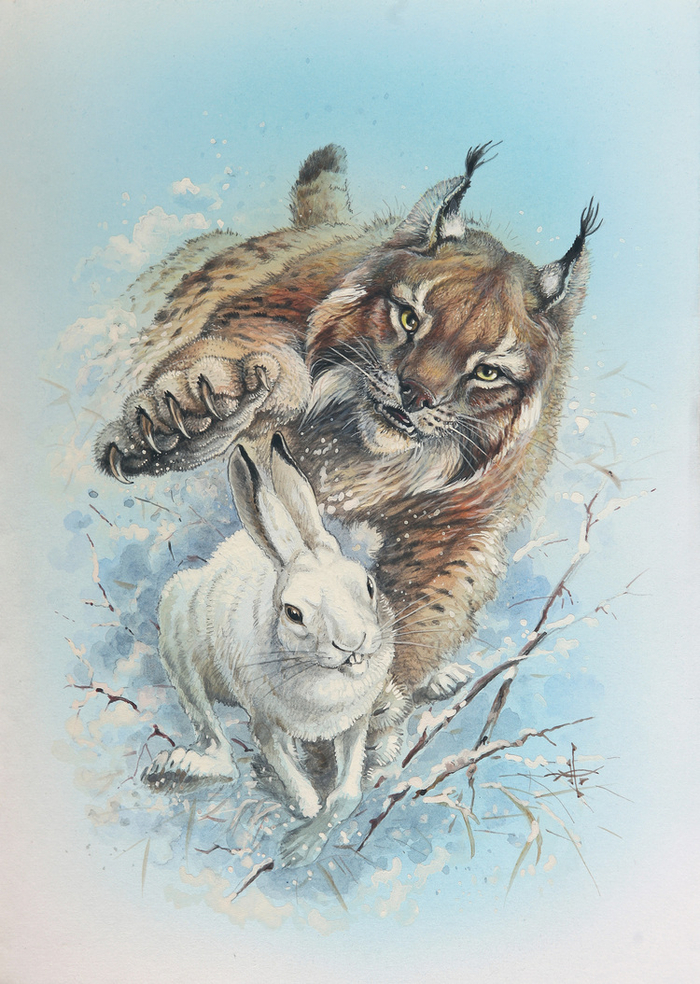 Лесная правда.