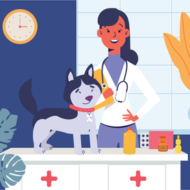 иллюстрации для компании Petzone App