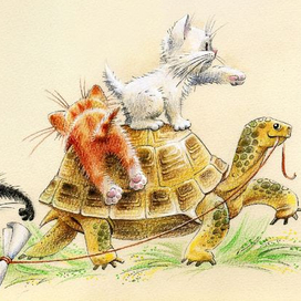 Приключения зовут!