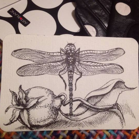 скетч открытка