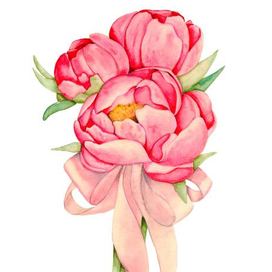 Букет пионов