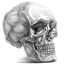 Пример КАРАНДАШ