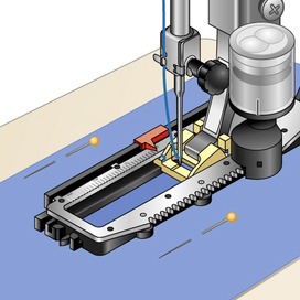 вектор Лапка