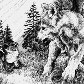 Стена мира. Ласка