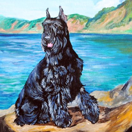 Ризеншнауцер