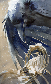 Принцесса ворона