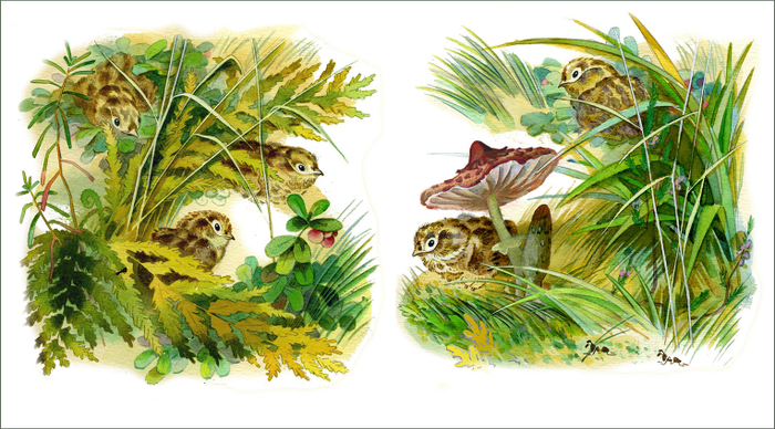 Рябчата " Про Томку"! ( изд."Малыш")