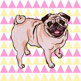 Иллюстрация собаки породы Мопс