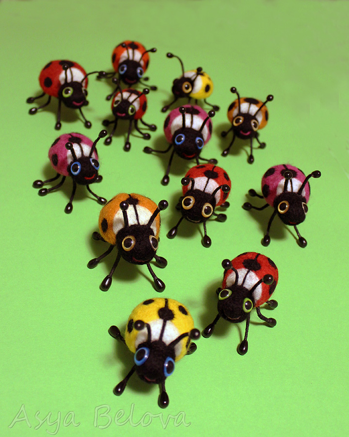 Моё  маленькое  стадо  :)