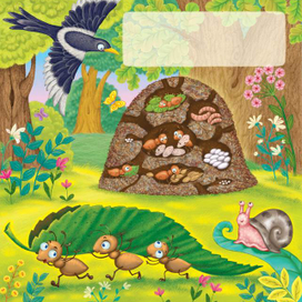 "Где чей домик"