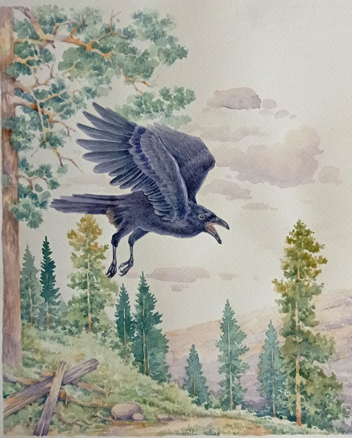 Ворон . К рассказам Сергеева