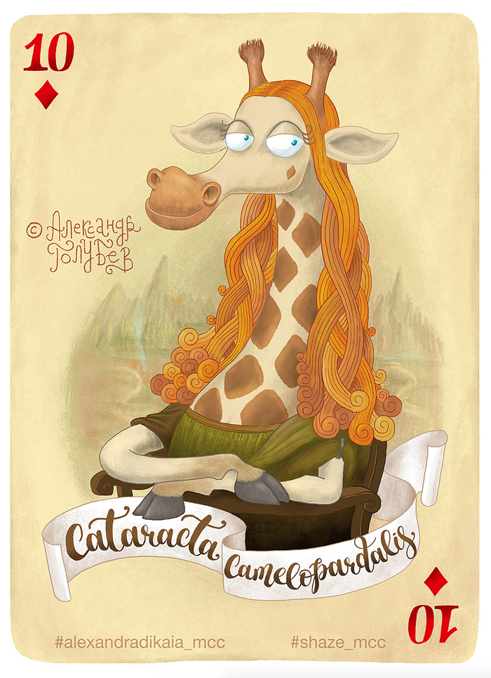 Cataracta Camelopardalis