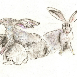 Семейство зайчат