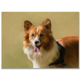 Домашние питомцы