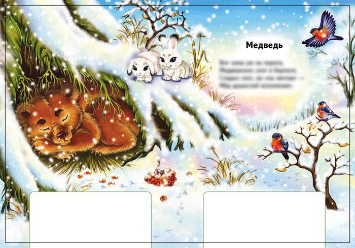 Медведь (зима)