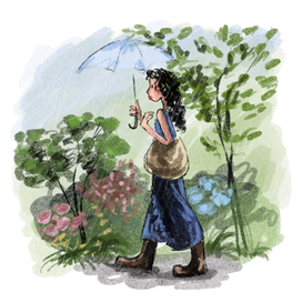 Летний сад книжная иллюстрация 