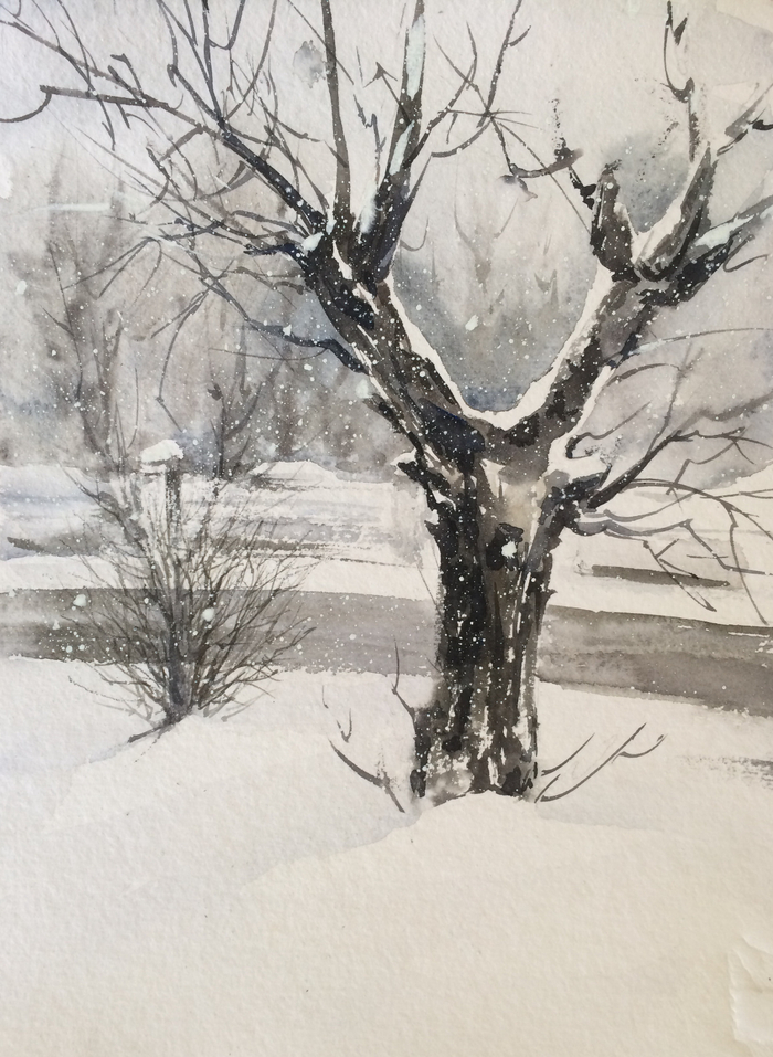 Первый снег на Блюхера