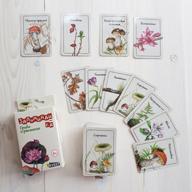 Мемори "Грибы и растения"