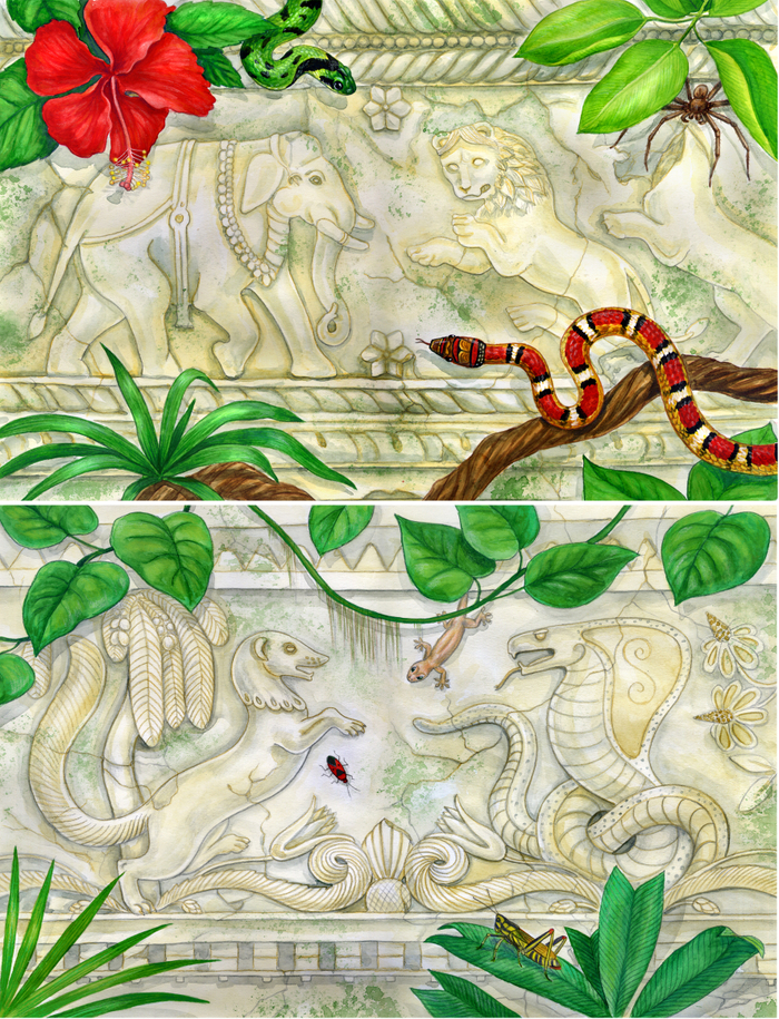 Форзацы к "Рикки-Тикки-Тави"