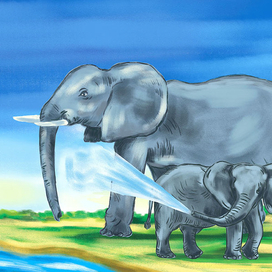 Африканский слон