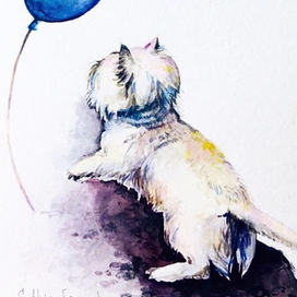 Воздушный шар 