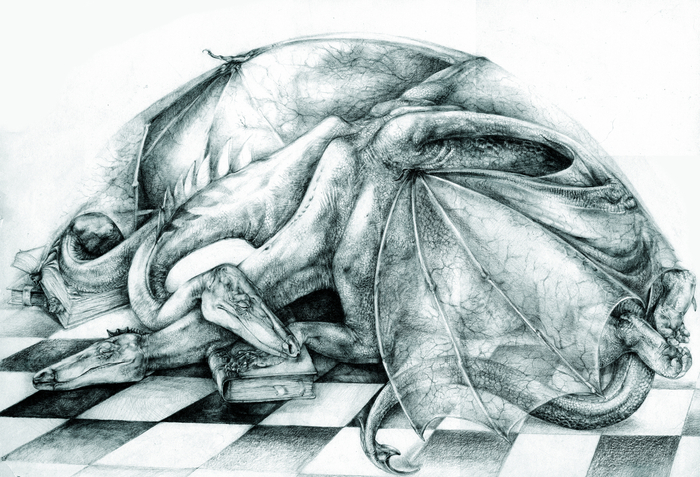 Дракон, уснувший в библиотеке