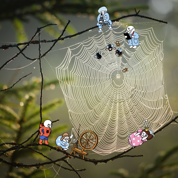 ВВедите название