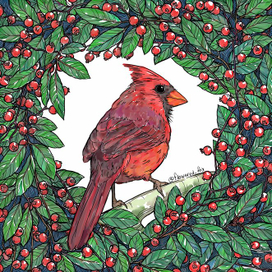 Красный кардинал