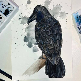 Аркадий Акакиевич Воронов