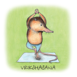 Щелезуб. Врикшасана - поза дерева