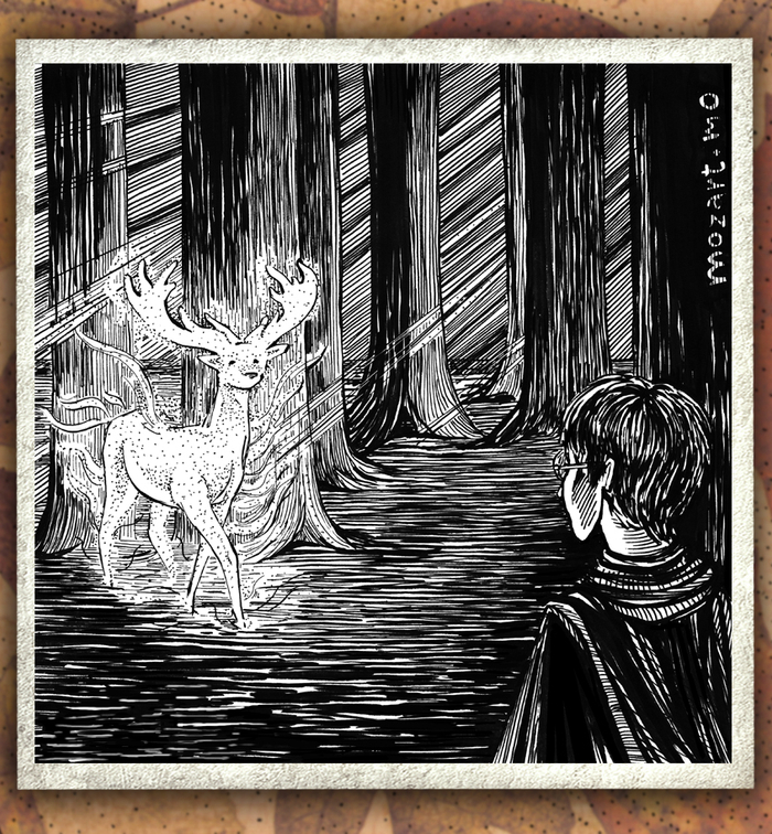 Гарри Поттер