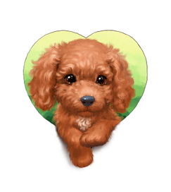 Обложка для книги