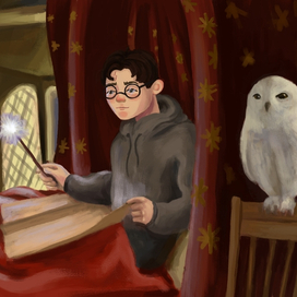 Гарри Поттер