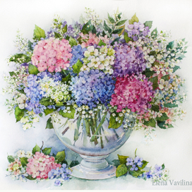 Королевская гортензия