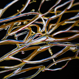 Набросок золота