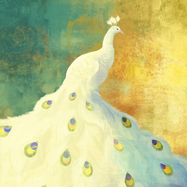 Белый Павлин