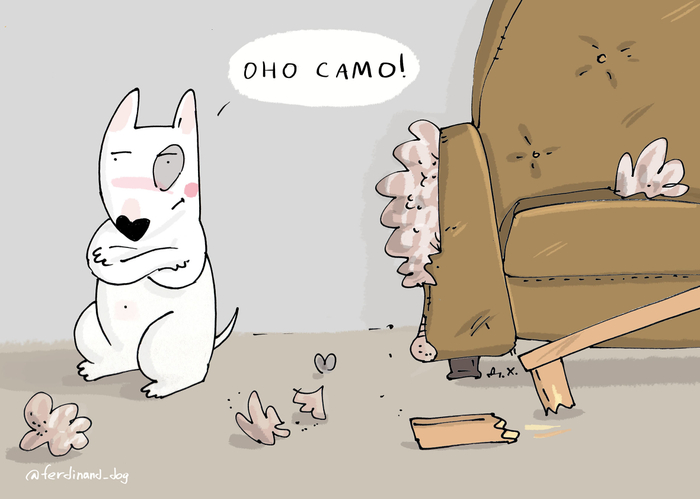 Пес и диван