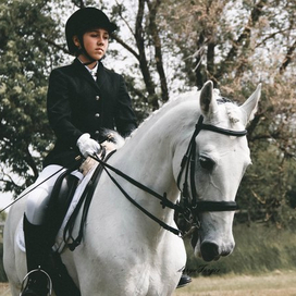 equestrian competitions