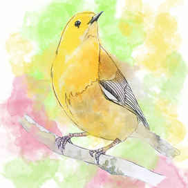 Весеннее пение