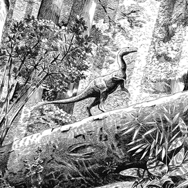 полдень в лесу