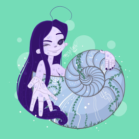 Из раковины