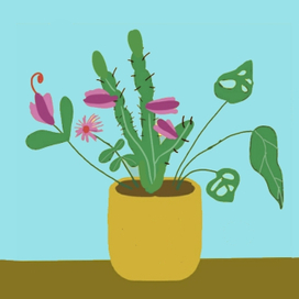 Горшок с кактусом