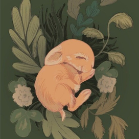 Зайчик на почтовую открытку