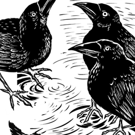 Book Illustration.  Oscar Wilde