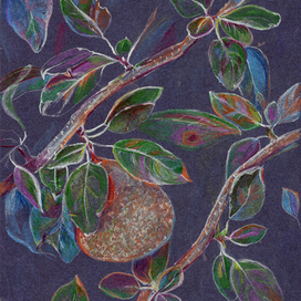 Ветви груши на синем