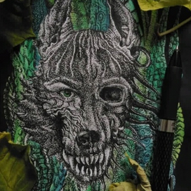 Волчий череп